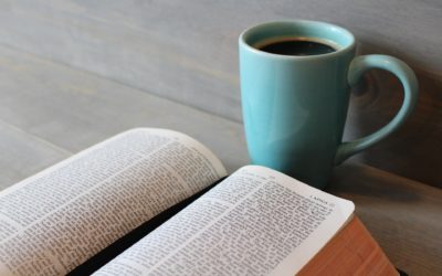 Bible Reading : Have To vs Want To