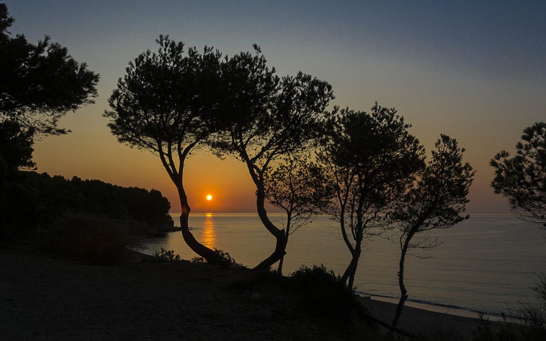Grief & Loss: What if There is no Tomorrow?