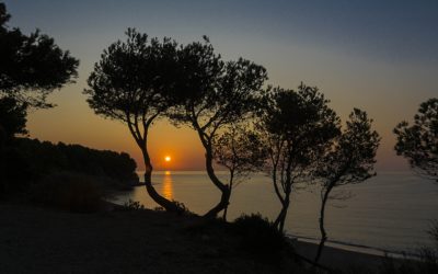 Grief & Loss: What if There is no Tomorrow?