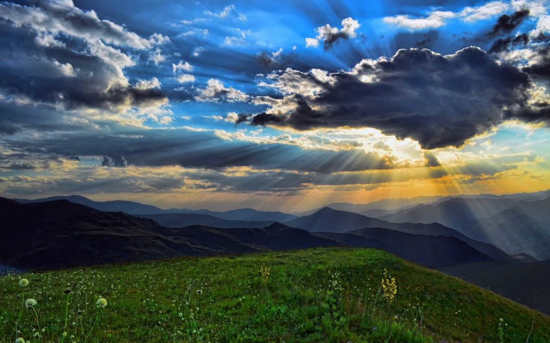 Grief & Loss – Looking Forward instead of Back